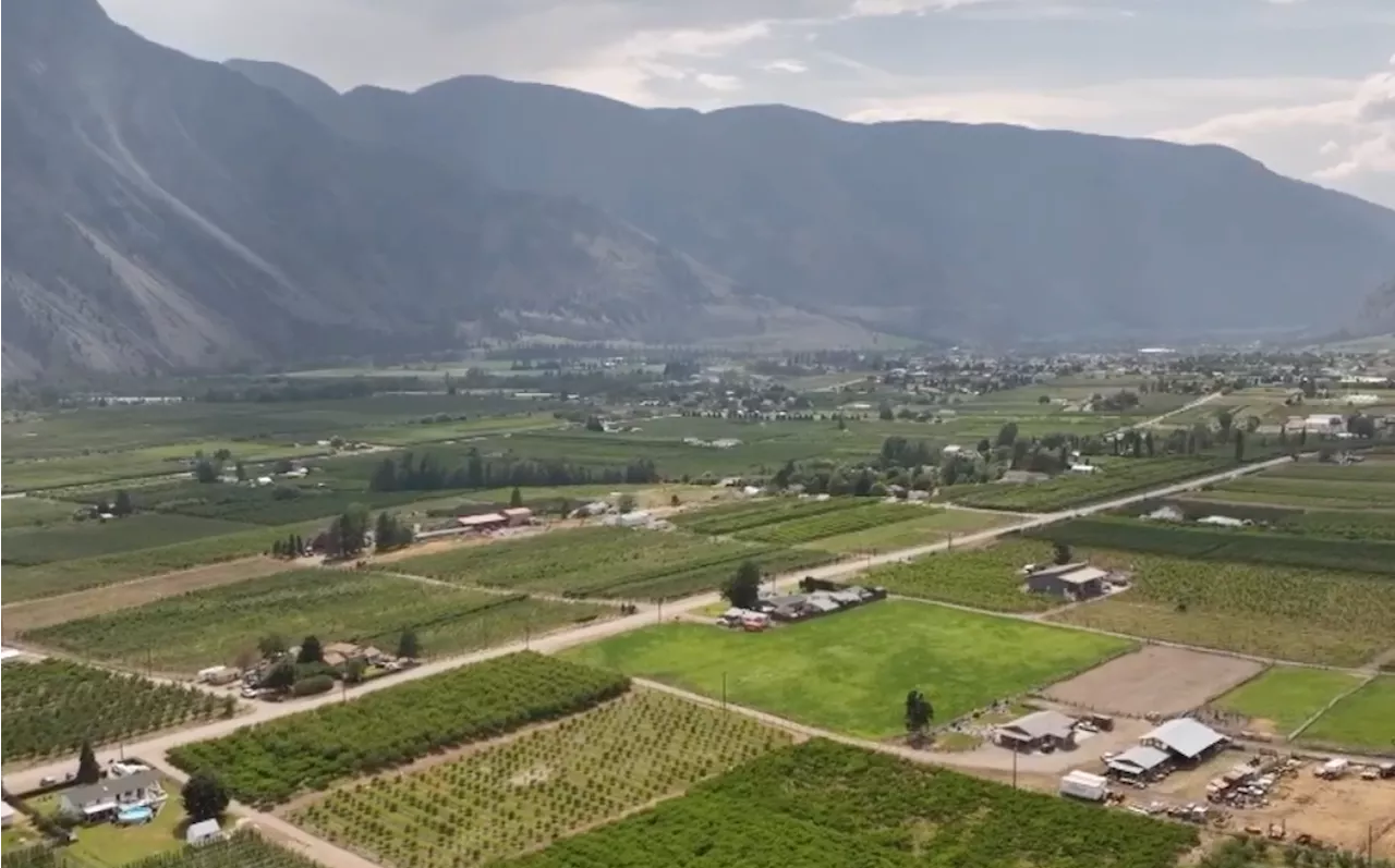 Okanagan wineries ask for government relief on markup regime for out-of-province grapes