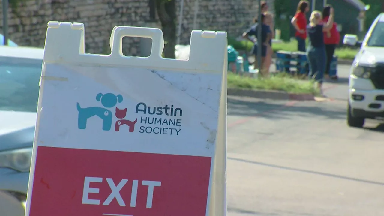 Austin Humane Society aids coastal shelters, seeks help as Hurricane Beryl nears