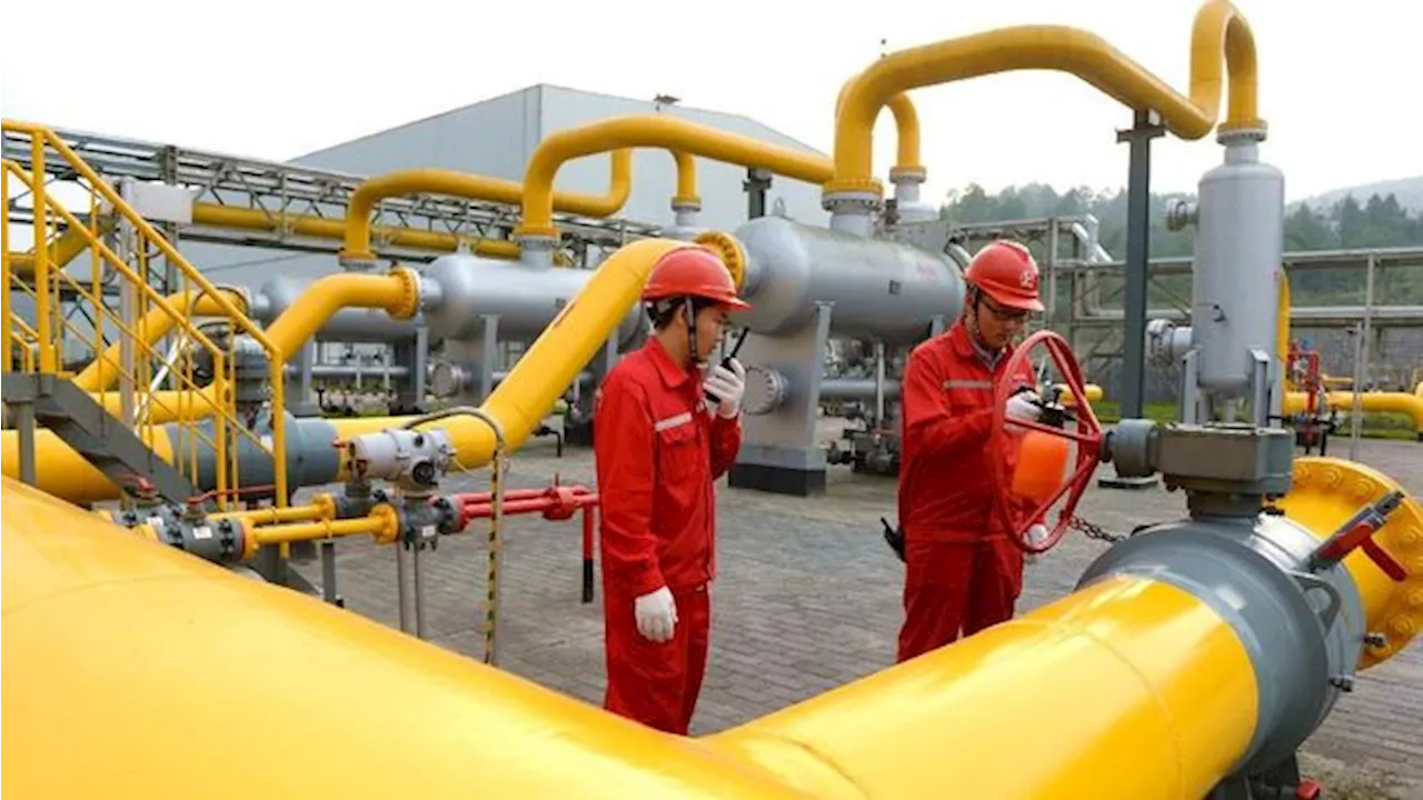 Tok! Jokowi Lanjutkan Harga Gas Murah (HGBT) US$ 6 Untuk 7 Industri