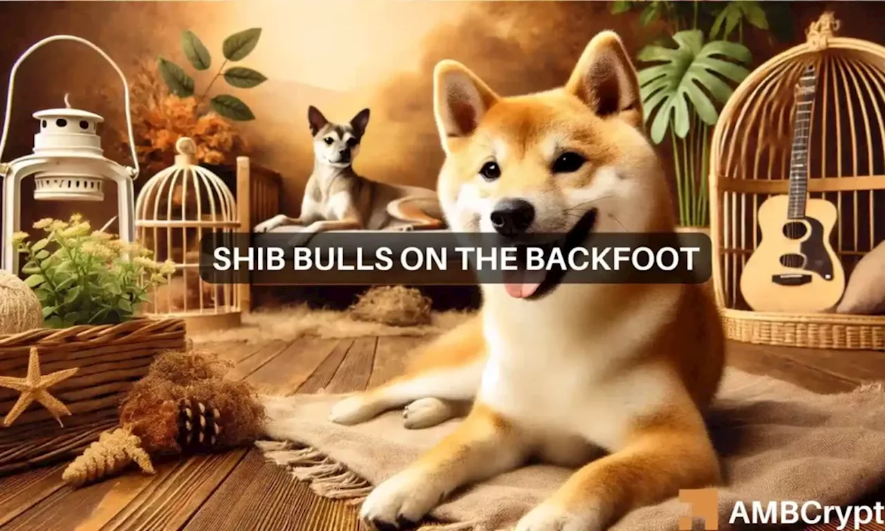 Shiba Inu price prediction: How SHIB traders can find profits soon