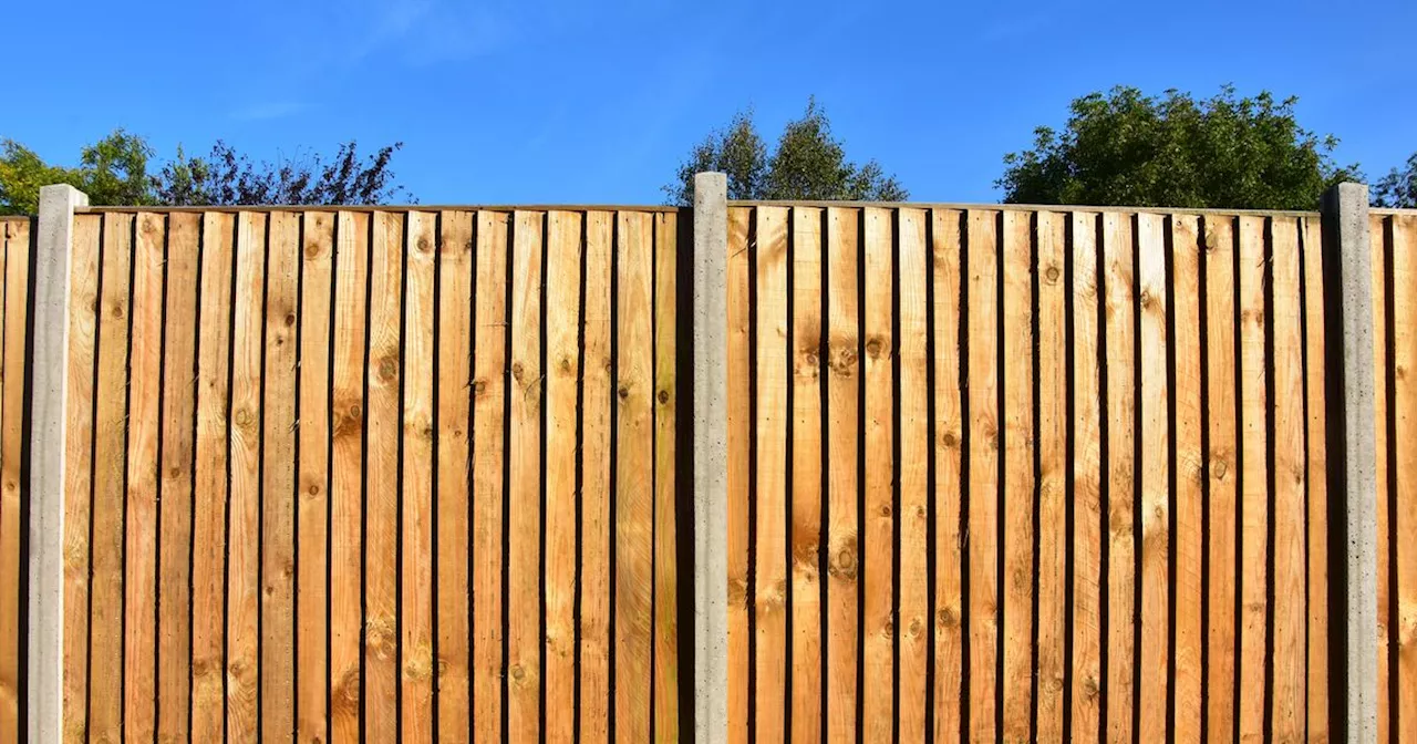 Gardeners urged to drill holes in fences to help hedgehogs as numbers plummet