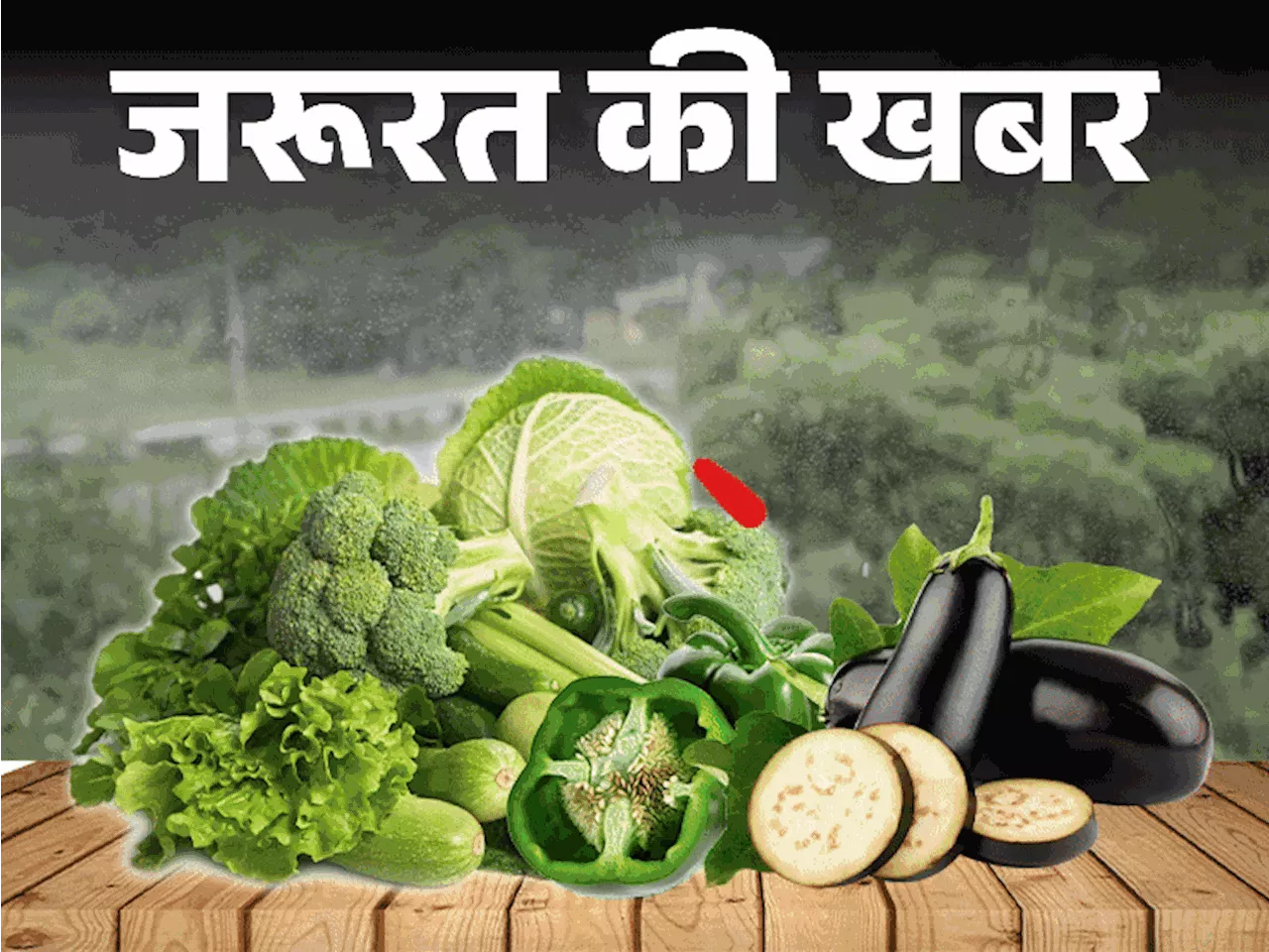 जरूरत की खबर- मानसून में हरी-पत्तेदार सब्जियों से परहेज: बैंगन, मशरूम में भी हो सकते हैं कीटाणु, बारिश में ...