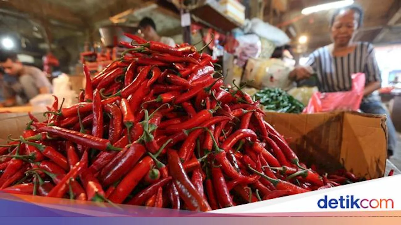 Stok Cabai Merah dan Rawit RI Kritis, Ini Biang Keroknya