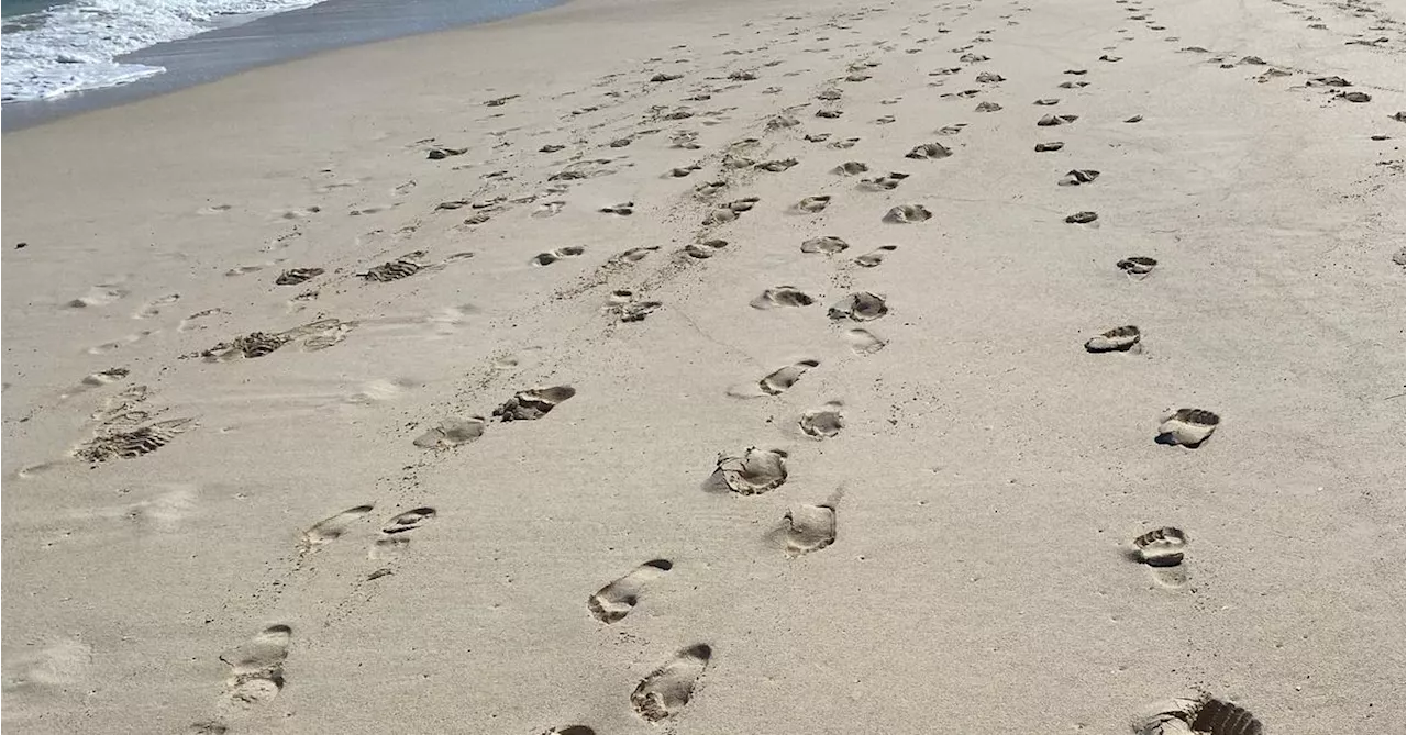 Wann ist das Meer in Österreich verschwunden?