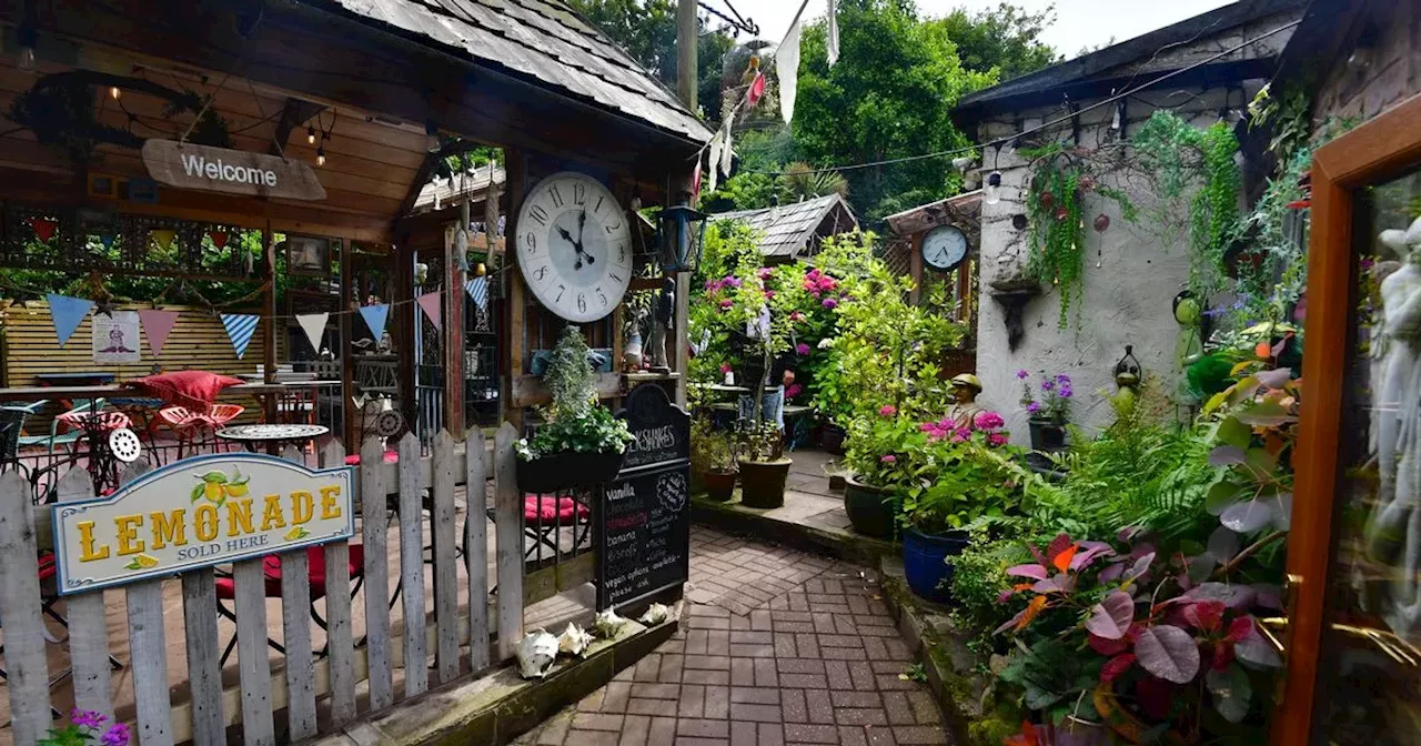 'Magical' tea garden tucked away near beautiful country park