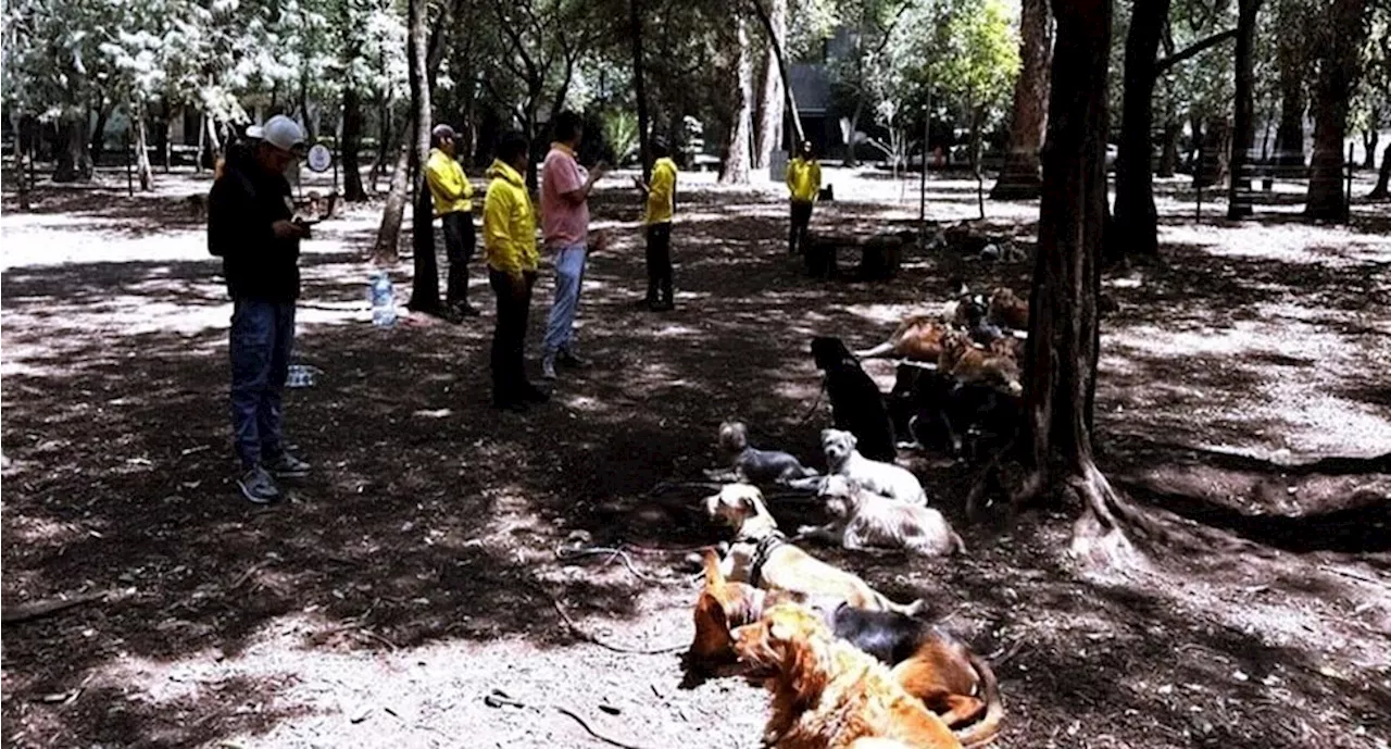 ¿Por qué cerraron el Parque Canino de Chapultepec? Vecinos exigen su reapertura