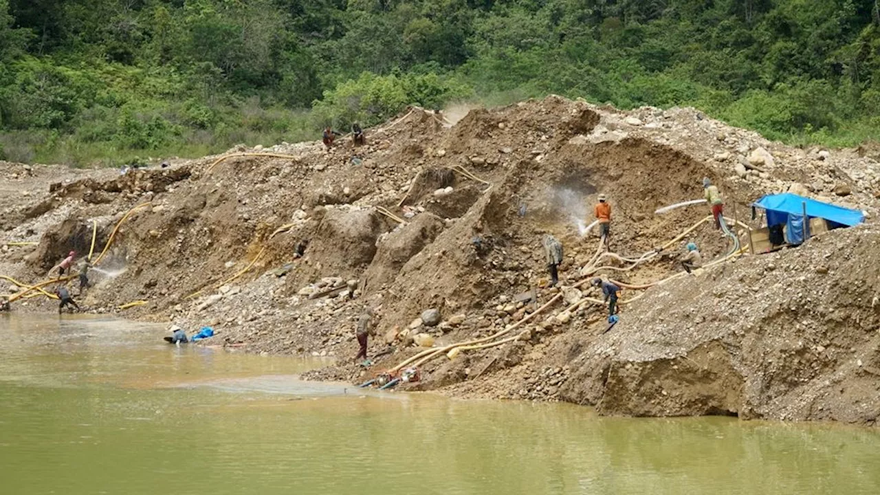 Kerusakan Lingkungan dan Maut Mengintai di Kawasan Tambang Emas Gorontalo