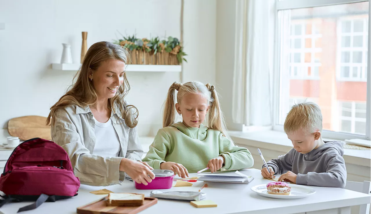 I Traded My Leftover Takeout Containers for the Sports Car of Adult Lunch Boxes—And Now I No Longer Want to Steal My Kids’ Bento Boxes