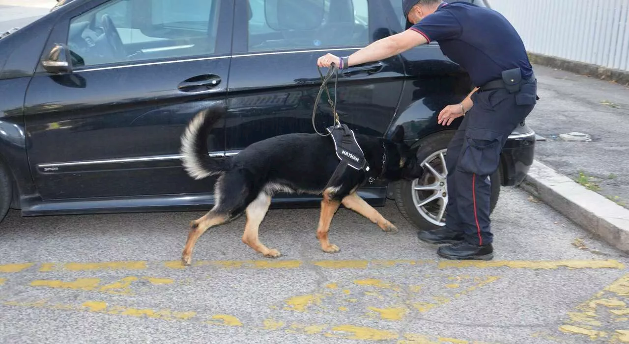 Terni, maxi operazione contro lo spaccio di cocaina: raffica di arresti, in manette ternani, albanesi e romeni