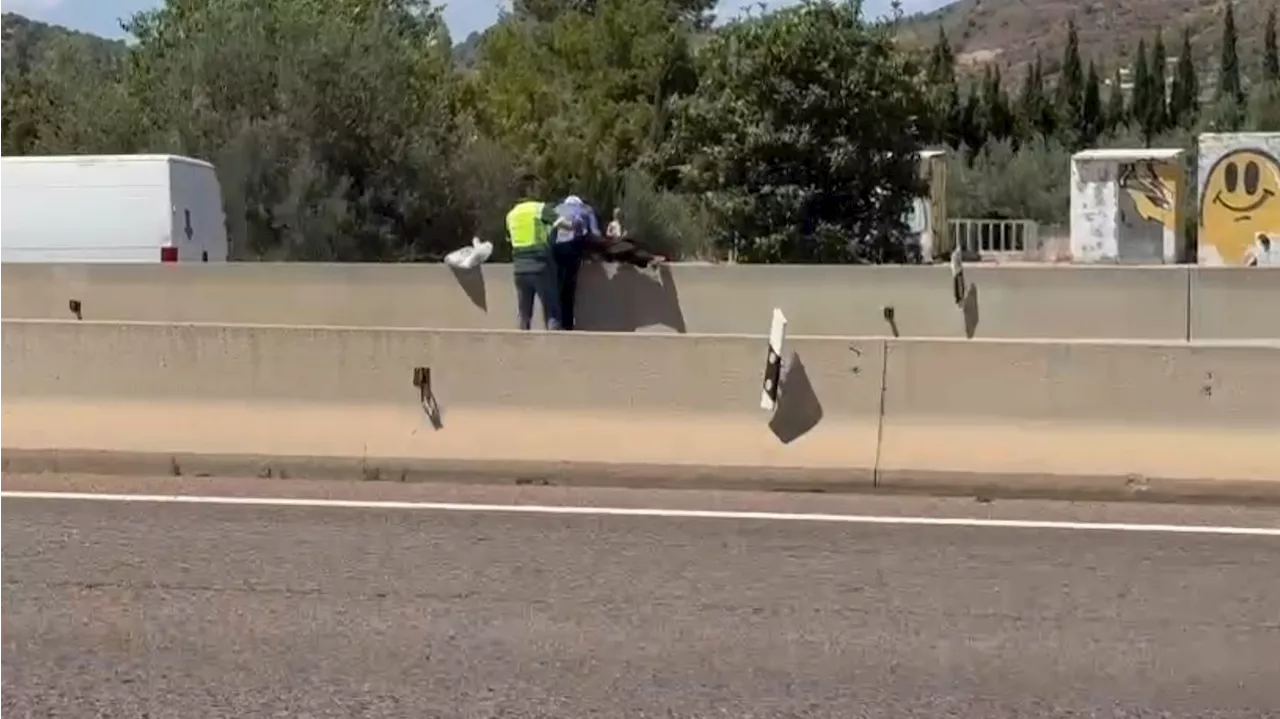 Un guardia civil evita el atropello de un anciano en la autovía A-23