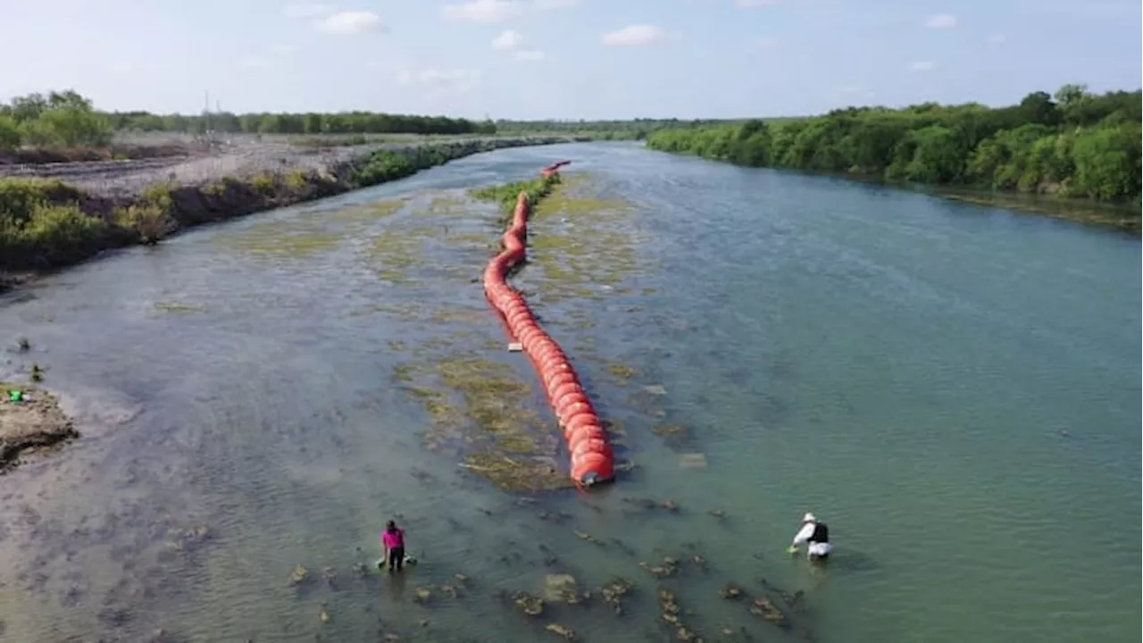 ‘It makes me really sad’: Professor says buoys in Rio Grande have created significant ecological impact