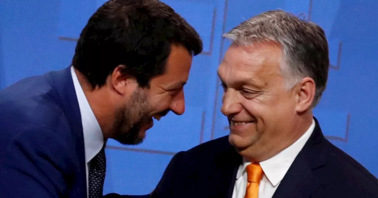 Salvini will mit seiner Lega der EU-Fraktion der 'Patrioten' beitreten