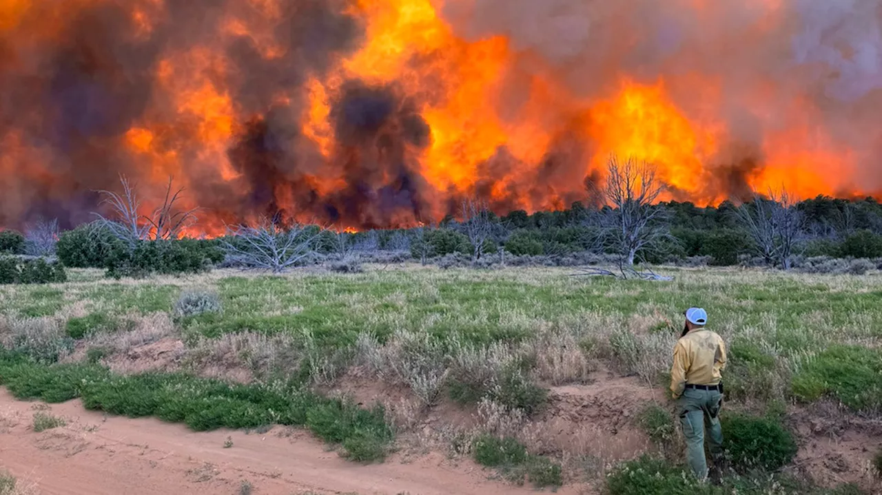 Deer Springs Fire grows to 9,117 acres with 0 percent containment hours after discovery