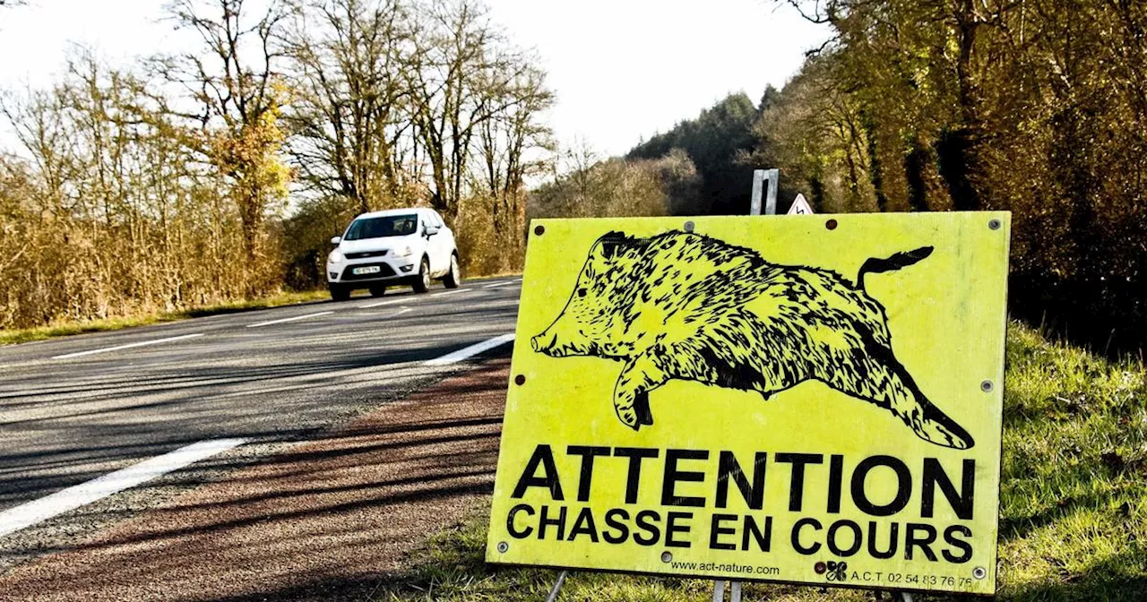 Loire-Atlantique : les chasseurs menacent de ne plus payer pour les dégâts liés au gros gibier