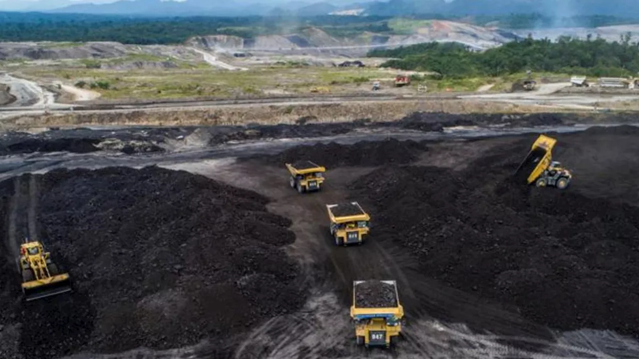 6 Raja Tambang Batu Bara di Indonesia, Jumlah Kekayaannya Tak Berseri