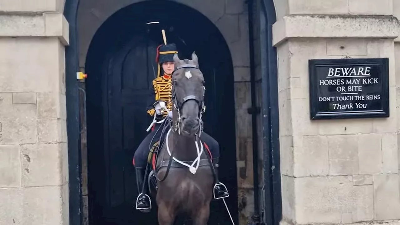 Pemandangan Langka bagi Turis, Penjaga Gerbang Istana Buckingham Inggris Menangis Saat Bertugas