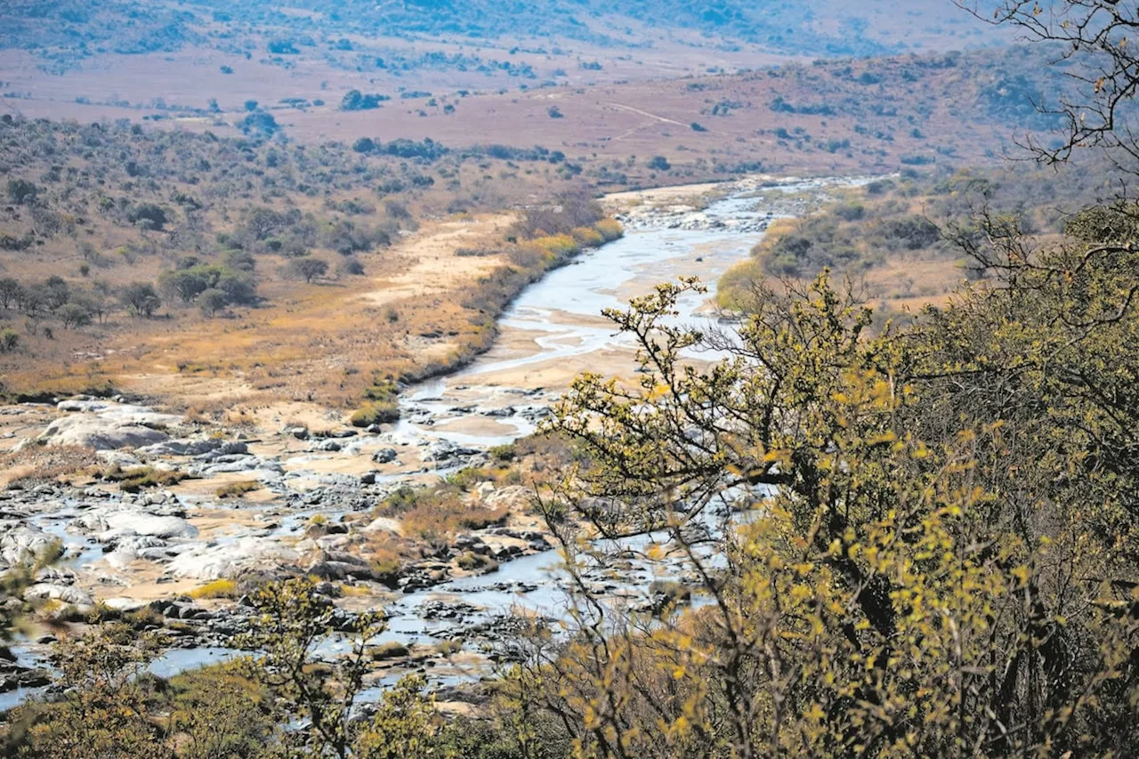 Ambitious project to rewild a piece of paradise in KwaZulu-Natal