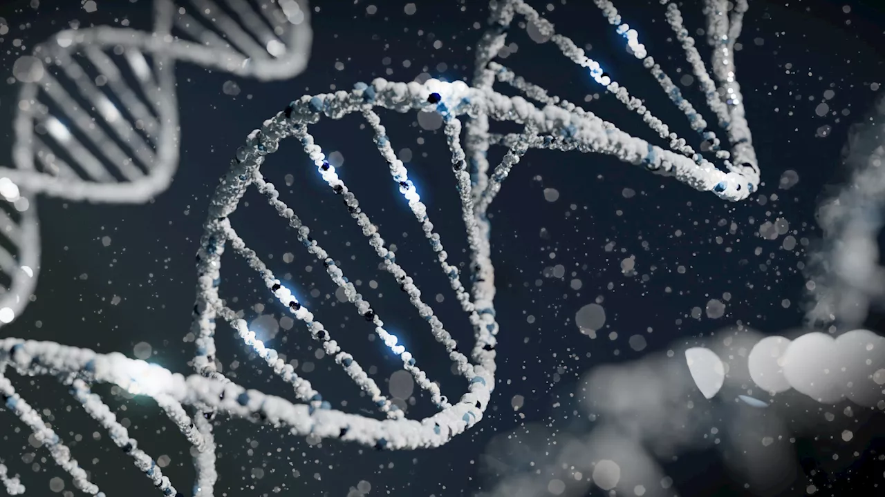 Combining genomics and metabolism identifies long-sought mitochondrial choline transporter