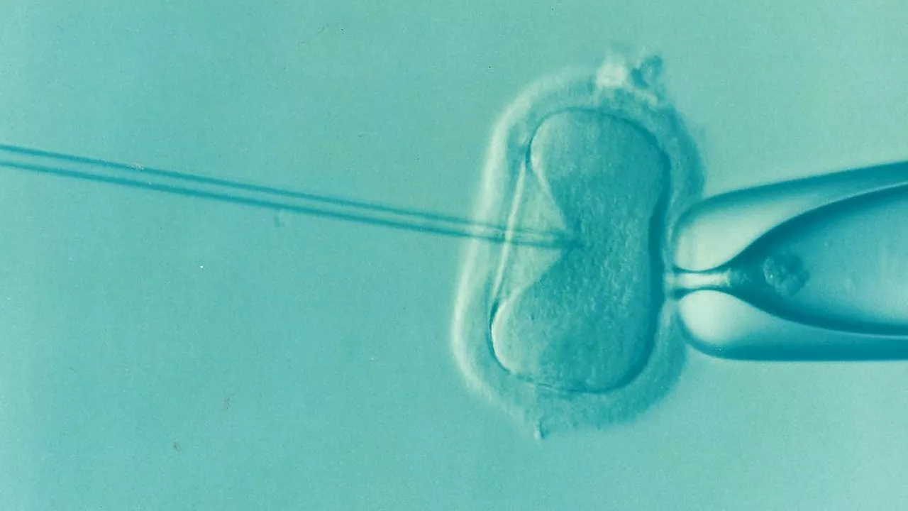 IVF and IUI treatment cycles increase across Europe, along with stable pregnancy rates