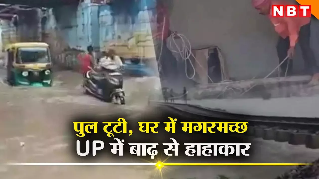 कहीं घर में घुसा मगरमच्छ तो कहीं रेलवे पुल ही बह गया... यूपी की नदियों में उफान से कई जिलों में बाढ़ का कहर