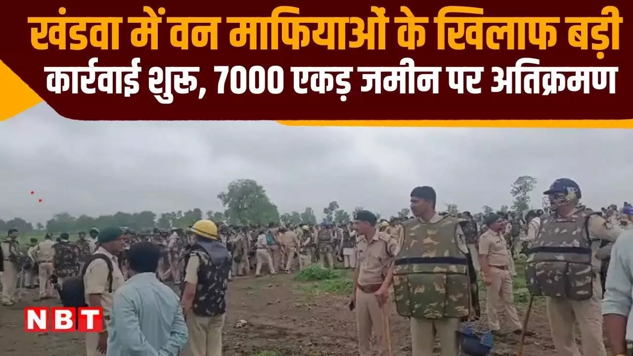 Khandwa News: 400 जवान, दर्जनों अफसर... 7,000 एकड़ जमीन पर लगी फसल को बुलडोजर और ट्रैक्टर से रौंदा