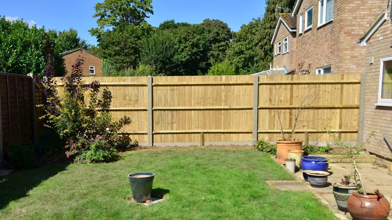 Why you should be drilling holes in your garden fence this summer