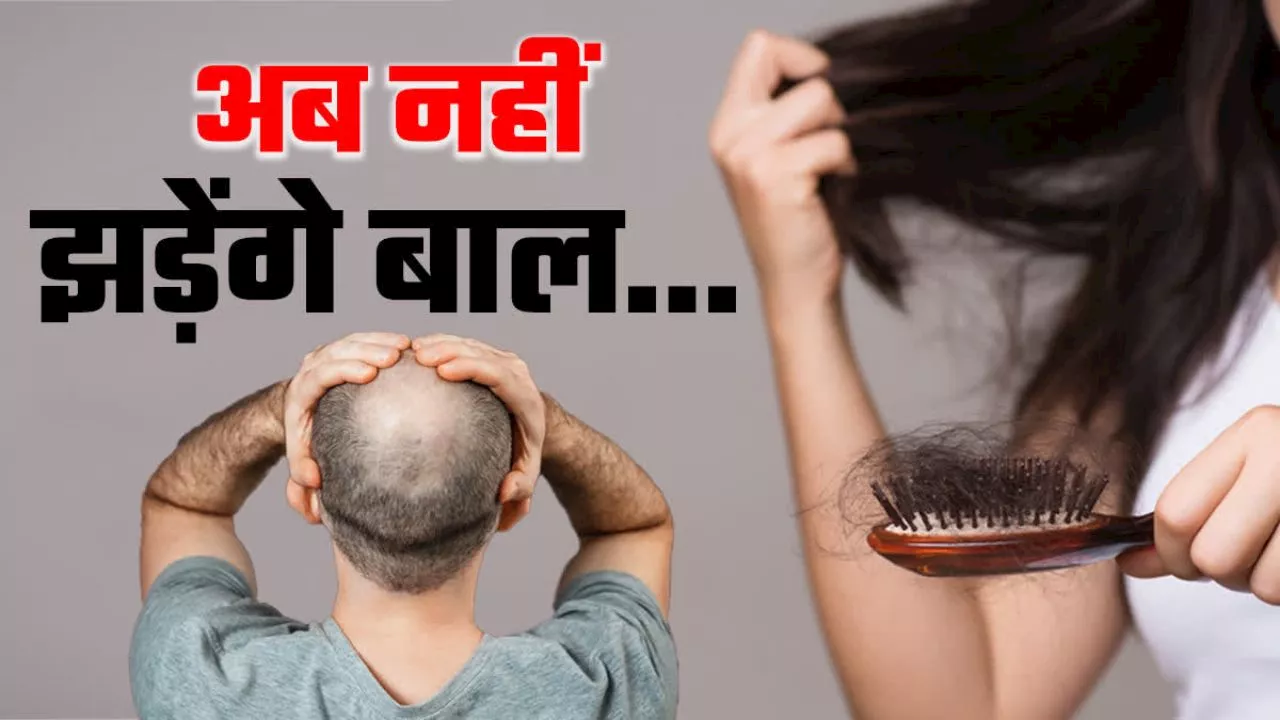 hair fall: हेयरफॉल को रोकने के लिए डाइट में शामिल करें ये 3 चीजें, लहराती जुल्फें देख हर कोई हो जाएगा दीवाना