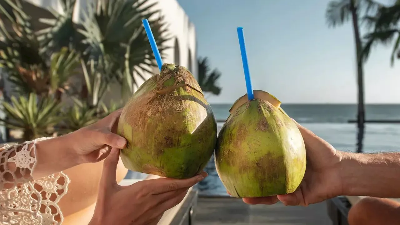 Right time to drink coconut water: नारियल पानी पीने के हैं शौकीन तो हो जाएं सावधान, फायदे की जगह पहुंचाएगा नुकसान