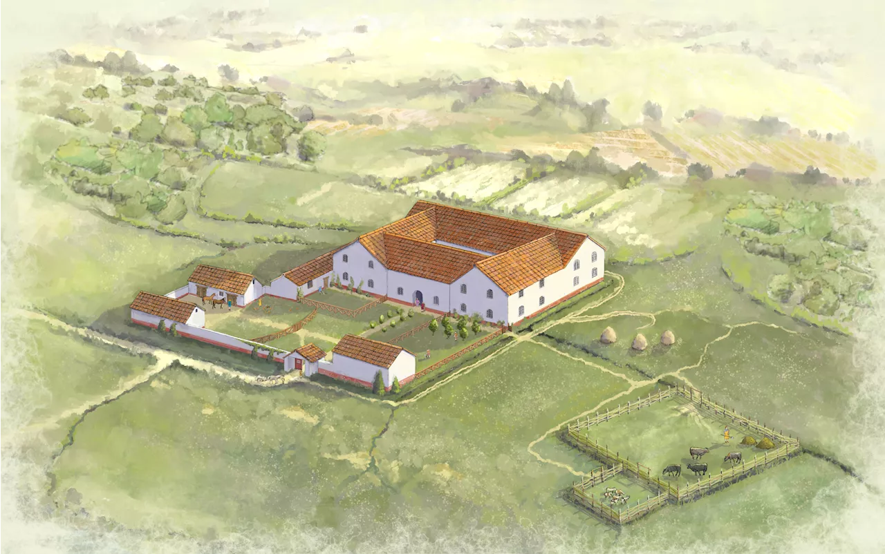 Roman Villas Fund Hidden Underground in 'Fascinating' Discovery