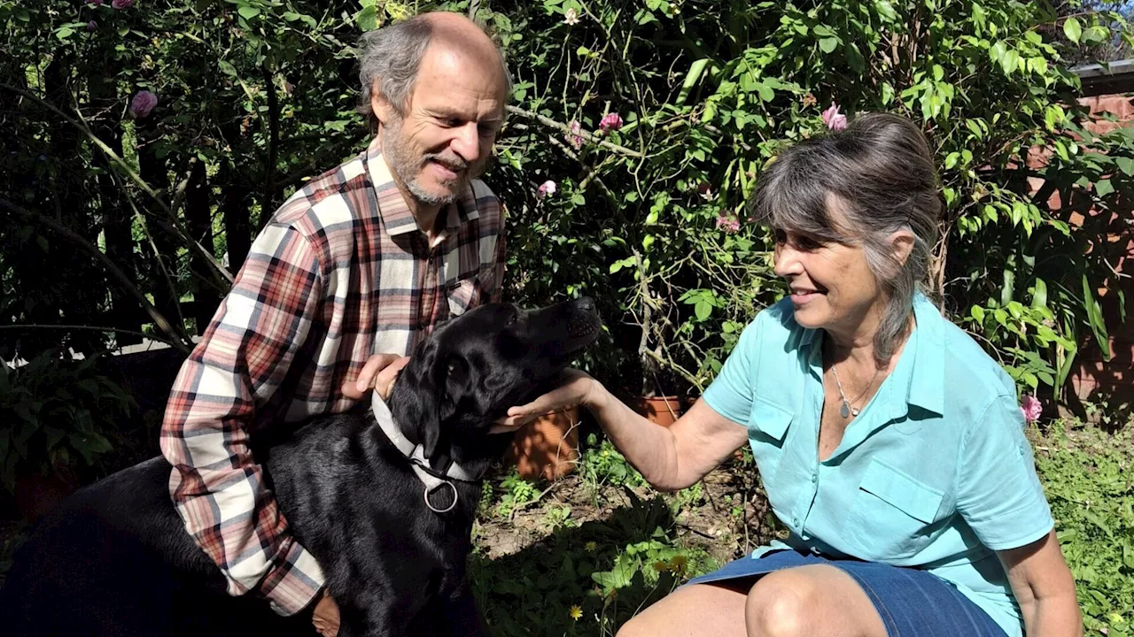 Vermisster Hund nach einer Woche an Baum gefesselt gefunden