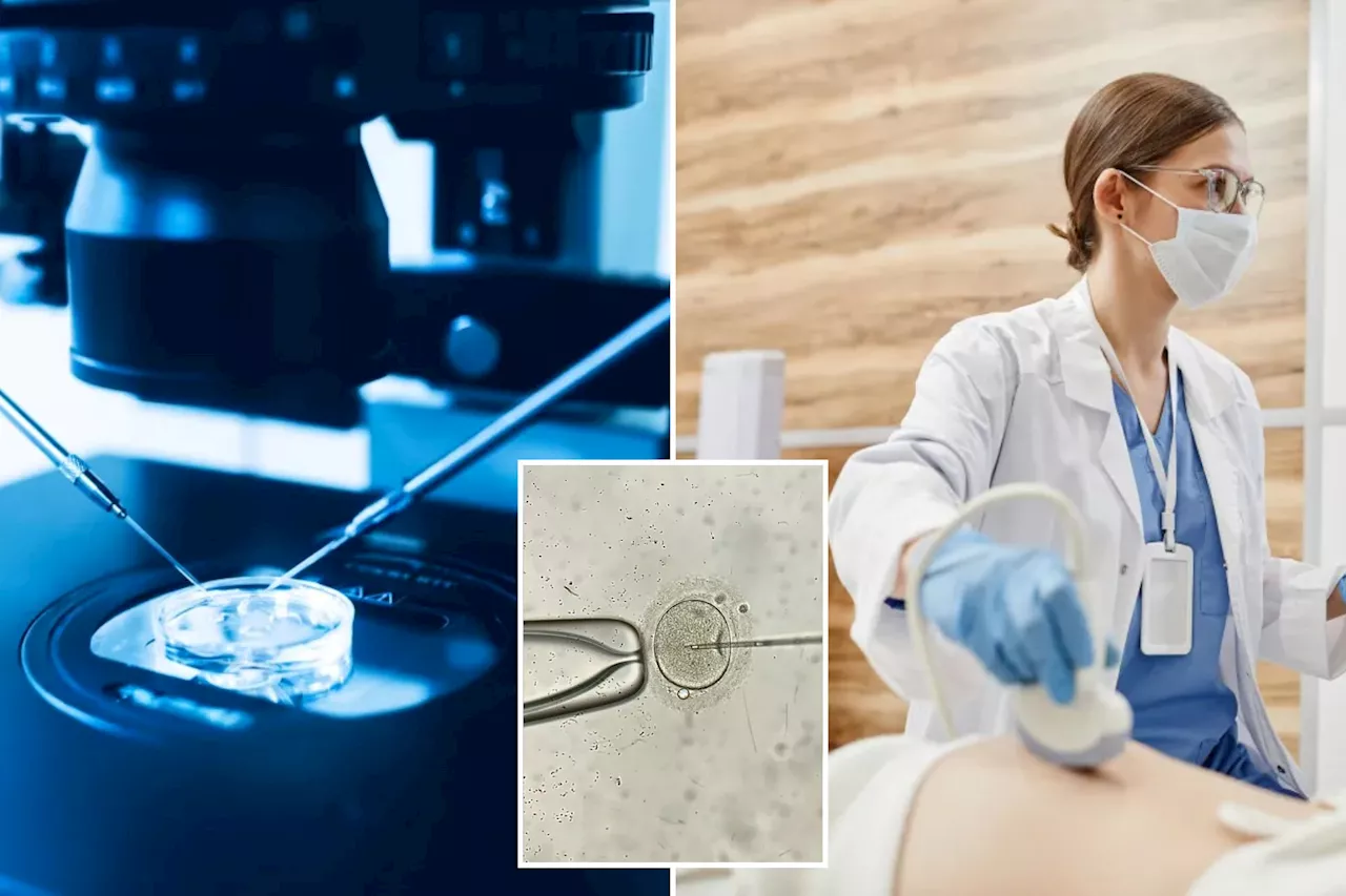 Lifestyle: New hope for IVF patients? How cutting-edge tech may make it ...