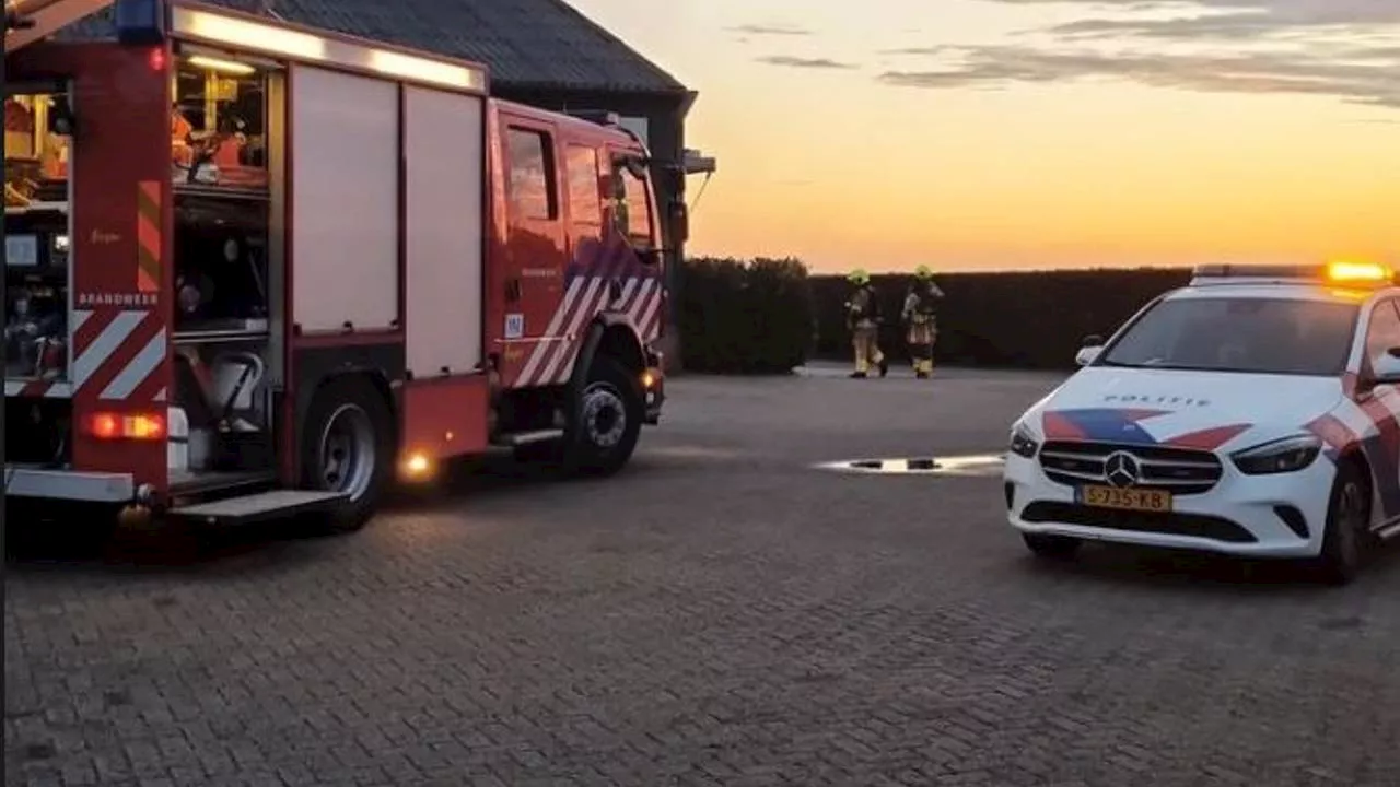 112-nieuws: brand in loods Rijen • twee auto's door brand verwoest