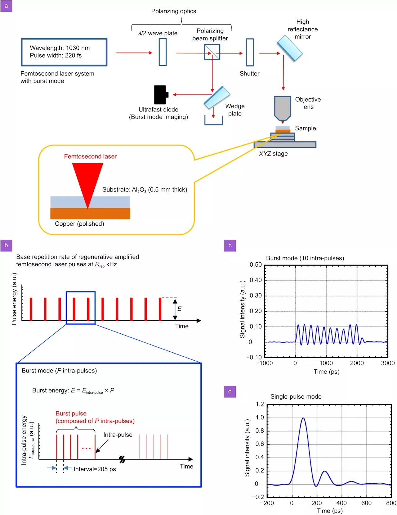 The forbidden propagation of hyperbolic phonon polaritons and applications in near-field energy transport