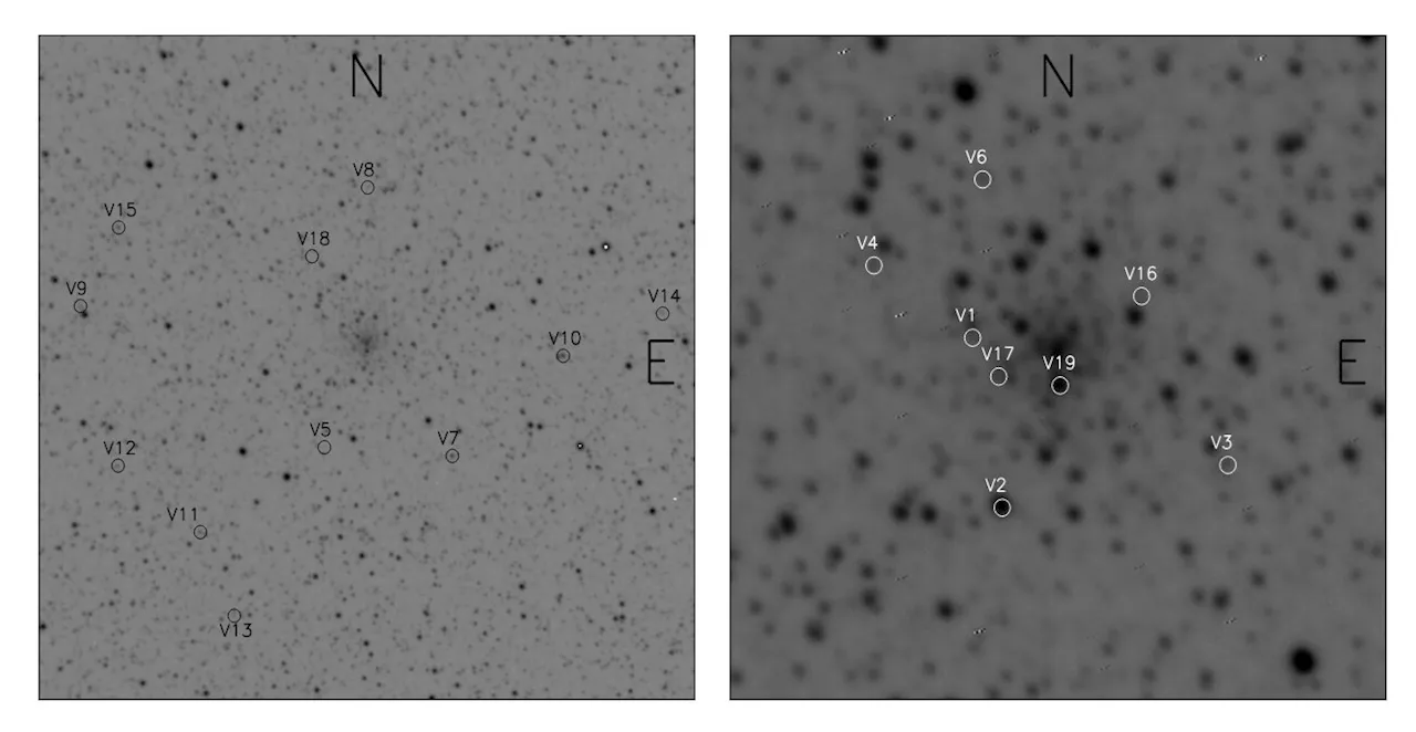 Two new variable stars detected in globular cluster NGC 6558