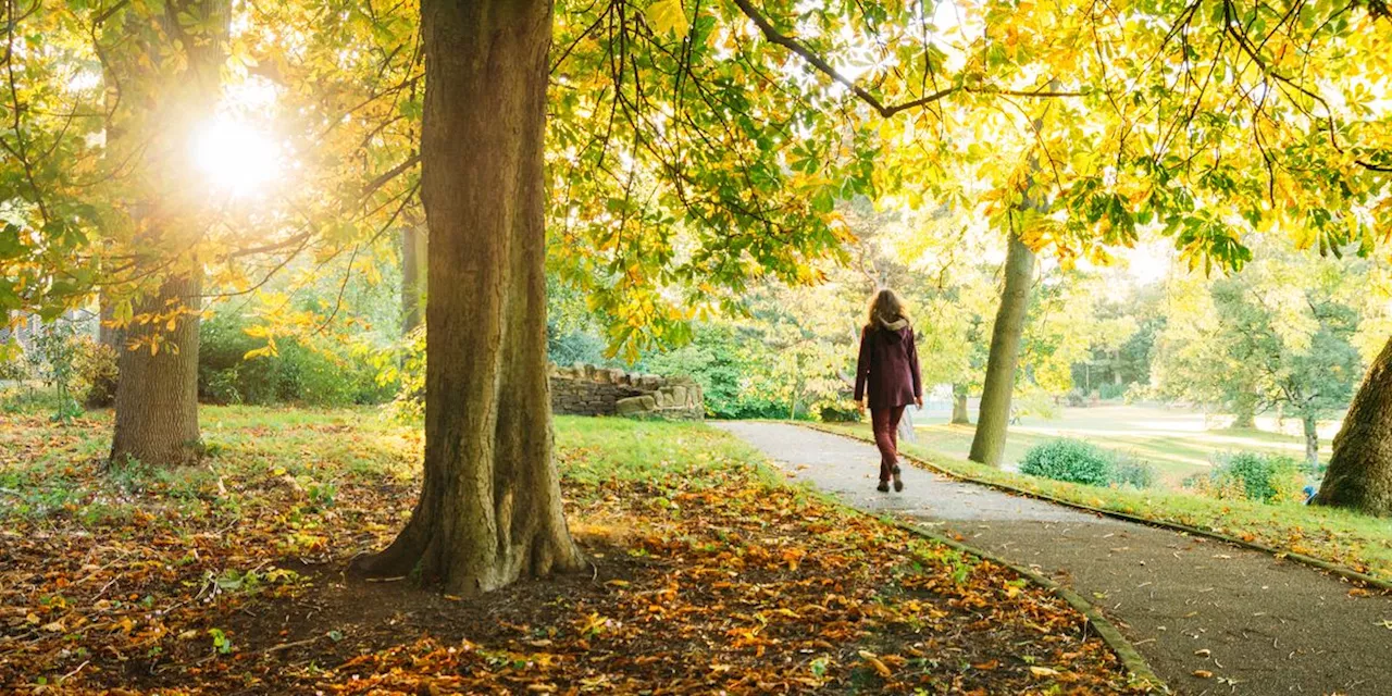 8 Science-Backed Health Benefits of Walking