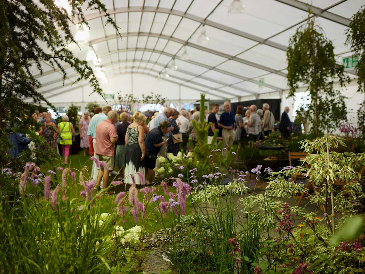 Shrewsbury Flower Show to draft in a bigger marquee for floral exhibits