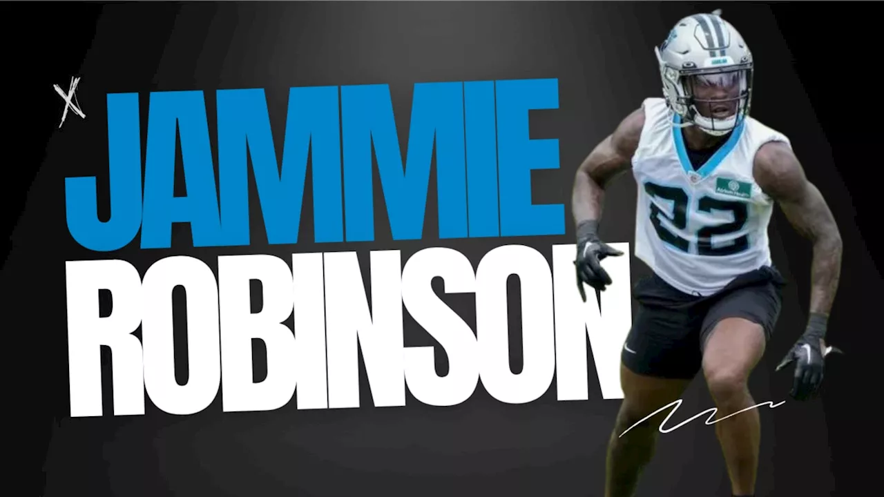 Panther Profile: S Jammie Robinson's Stats, Info & 2024 Outlook