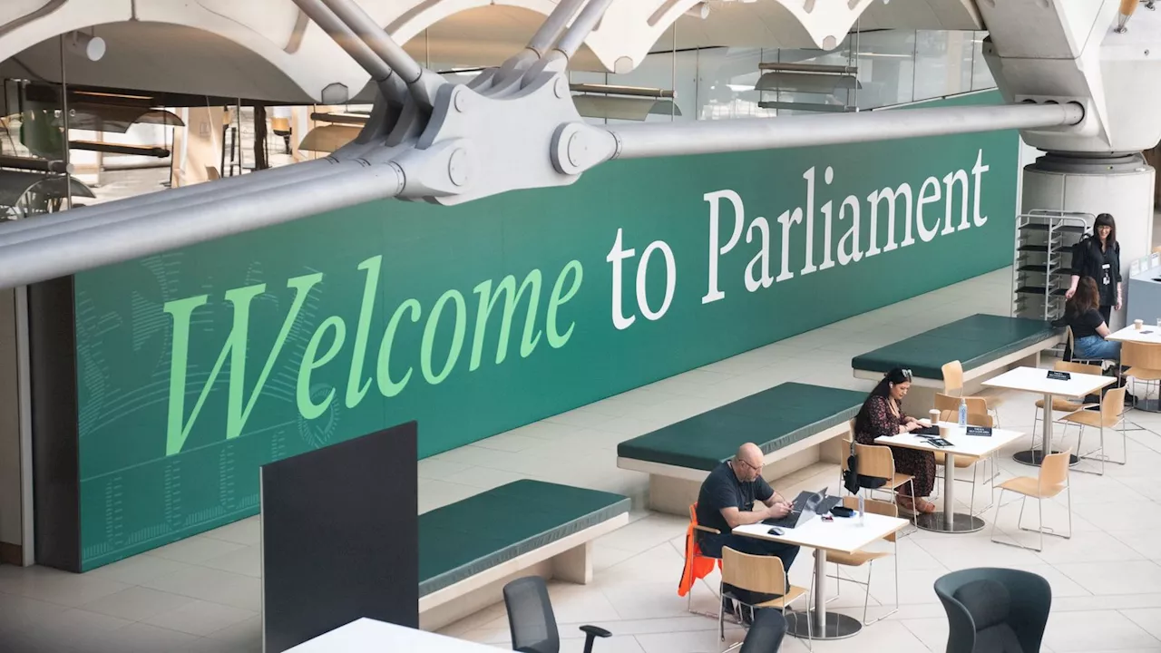 'Like the first day at school': How parliament has prepared 300 rookie MPs for the job