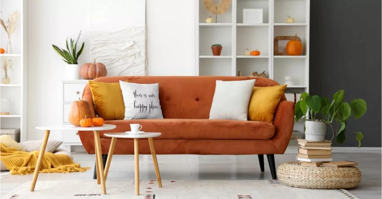 Profitez des promotions sur la décoration d’intérieur chez La Redoute : jusqu’à -50 % !