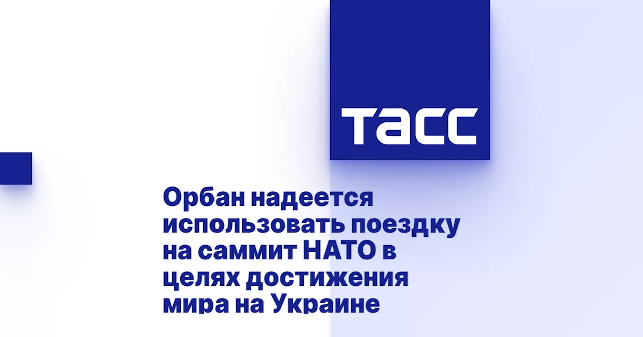 Орбан надеется использовать поездку на саммит НАТО в целях достижения мира на Украине