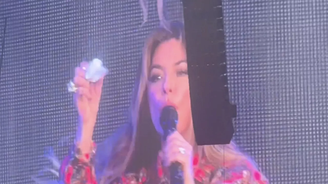 Shania Twain abruptly stops London concert to blow her nose as singer says ‘pardon me’ in bizarre mom...