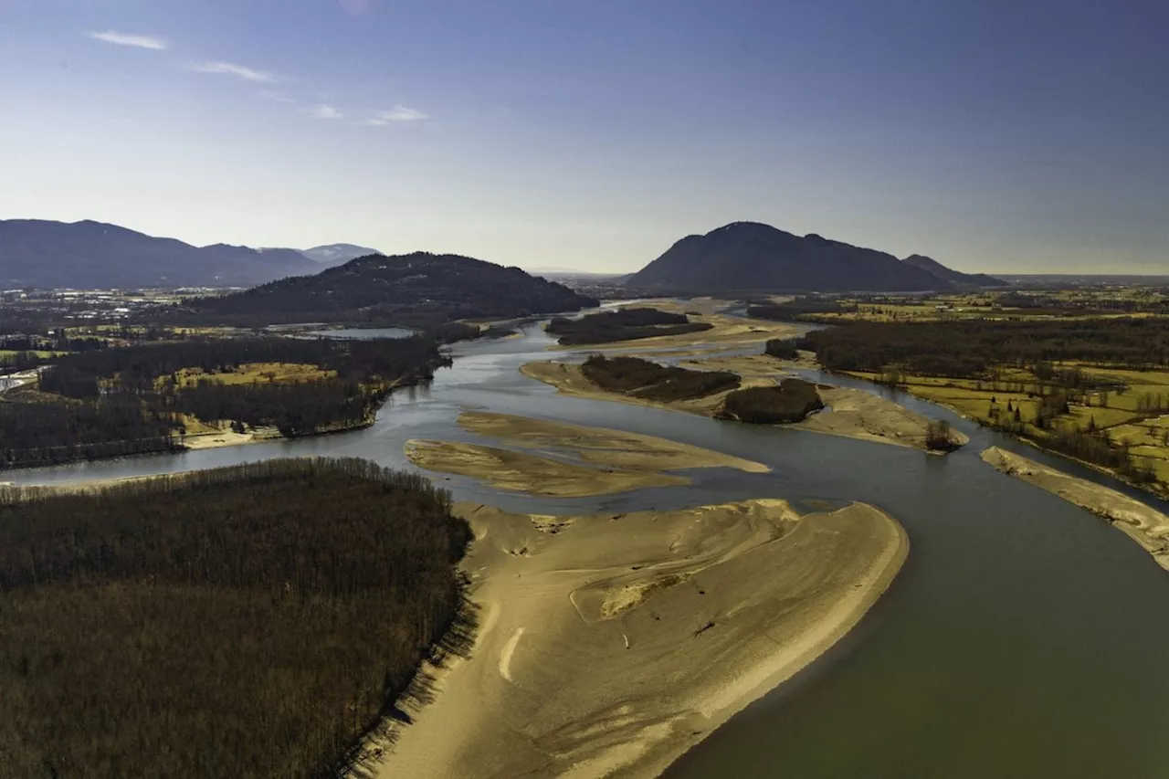 Environmental group buys Fraser River island near Chilliwack, B.C., to protect salmon