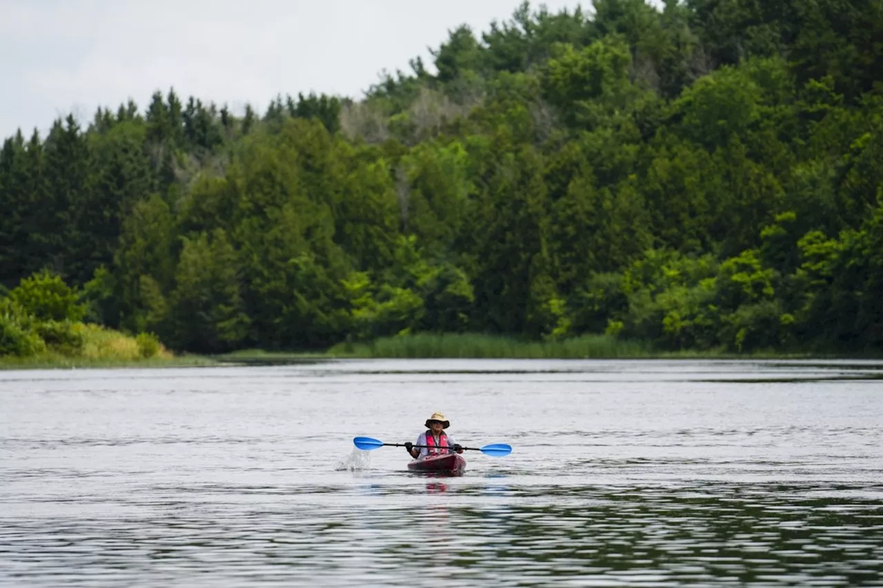 Scorching summer heat hits Canada, but won't touch records set by the 2021 heat dome