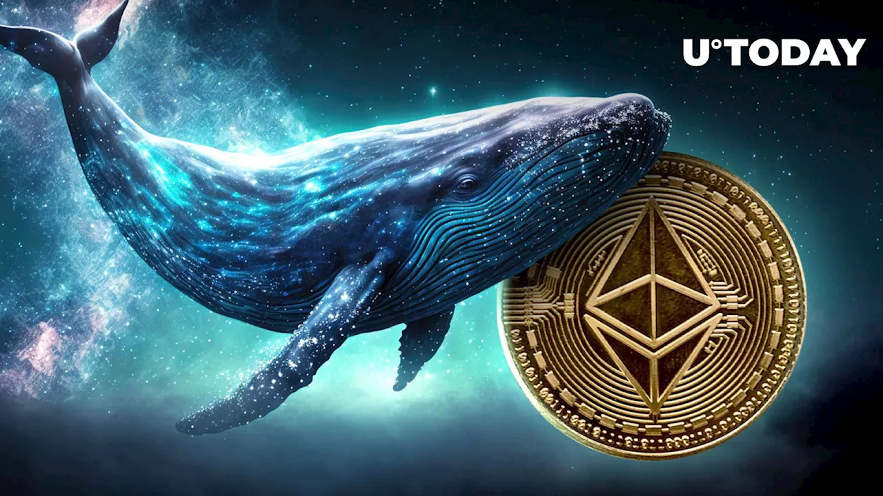 Dormant Ethereum Whale Stuns Major Crypto Exchange With 7,240 ETH Shift