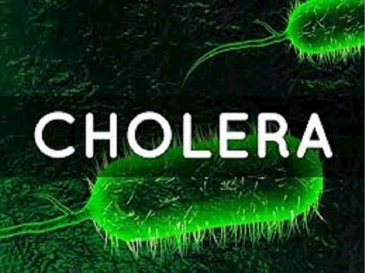 Lagos leads Nigeria’s cholera outbreak with 104 new cases