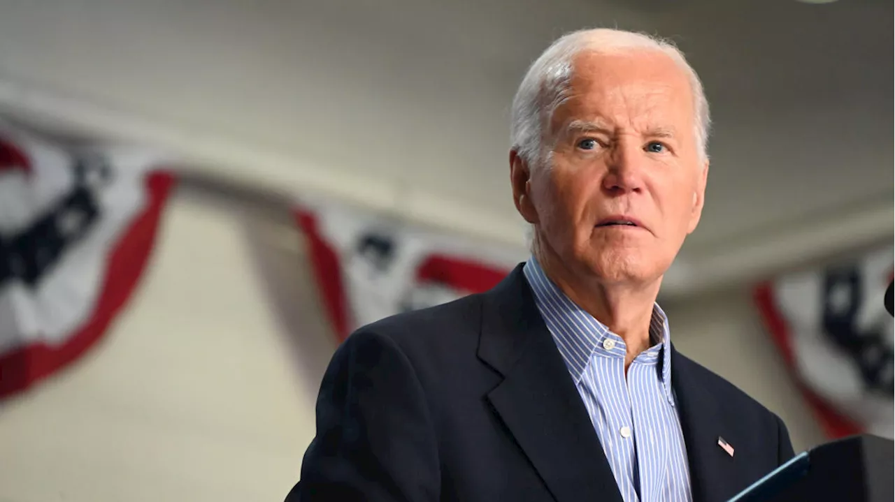 2024 election may be a 'bloodbath' for Dems if Biden runs