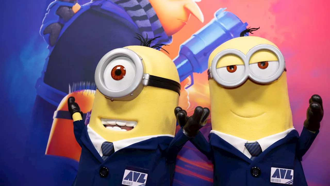 Market outlook, Despicable Me 4: Market Domination Overtime