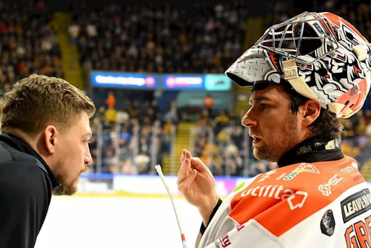 Sheffield Steelers and why Aaron Fox values return of netminder Matt Greenfield so highly