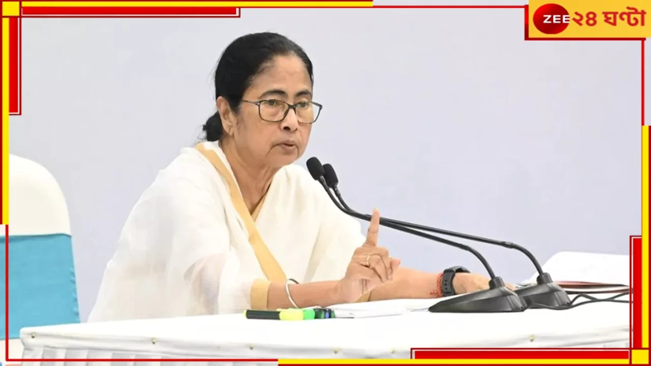 Mamata Banerjee: আমাদের কিছুই জানায়নি, CESC-র মাসুল বৃদ্ধি নিয়ে সরব মমতা...