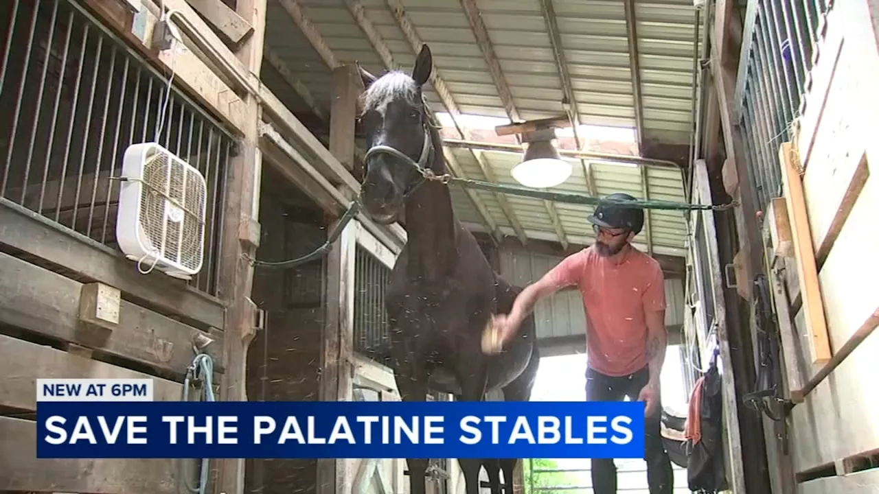 Community fights park district plans to close Palatine Stables